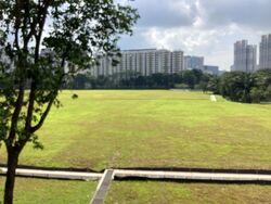 Henry Park (D10), Detached #511187501